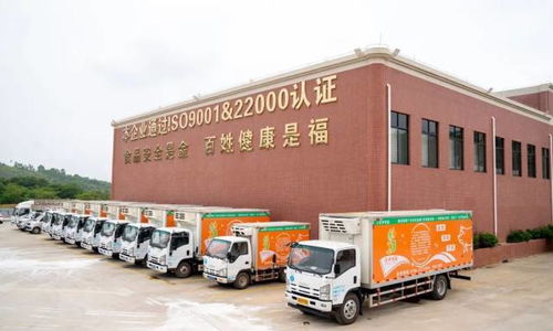 廣東羅定天溪冷鏈物流產地倉一期項目正式動工，助力海淘物流升級